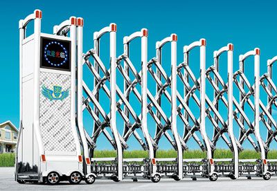 Stainless Steel Guardian No. 5 (Type A)