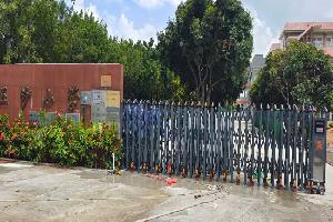 Guangdong Shunde Wusha School