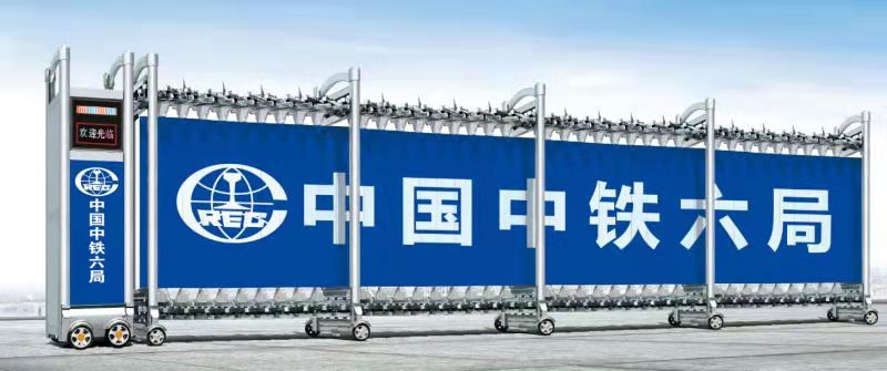 Flying Eagle Media Edition